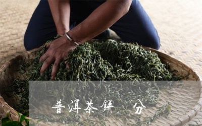 普洱茶饼 分/2023042789456